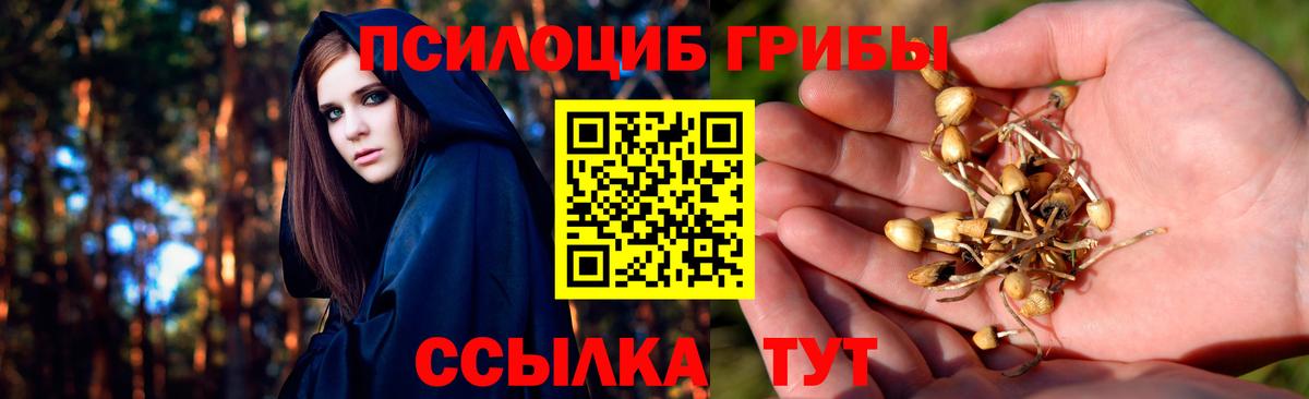 Лосино-Петровский  Псилоцибиновые грибы Psilocybe  Вход с VPN 